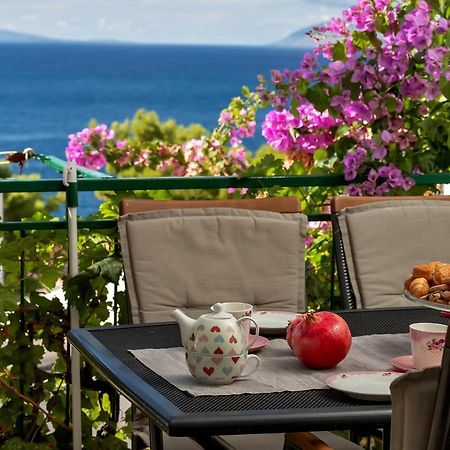 Apartmani Antonela Drasnice Εξωτερικό φωτογραφία